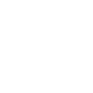 Q-Generation v1