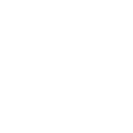 Brawler v1