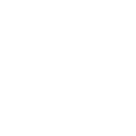 Black Ice v4