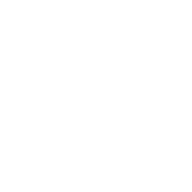 Vulnerability Scope v2