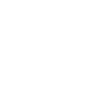 Brawler v2