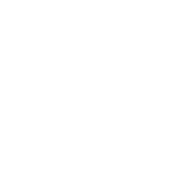 Brawler v4