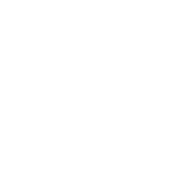 Black Ice v1
