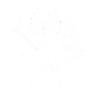 Restorative Shield