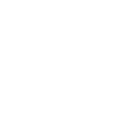 Neon Generative Acceleration v3