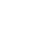 Quantum Berserker