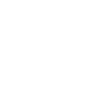 Targeting Chip v2