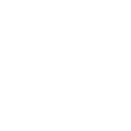 Neon Generative Acceleration v2