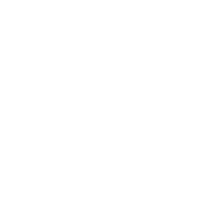 Q-Generation v2