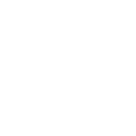 Brawler v3