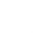 Vulnerability Scope v1