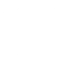 Energisk
