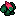 Dwarf