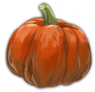 Squash