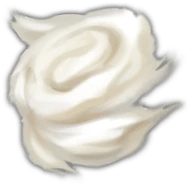 Wool