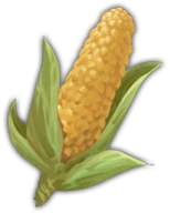 Corn