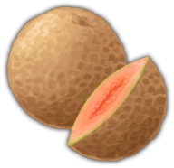 Melon