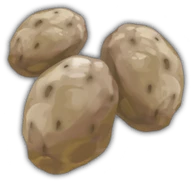 Potato