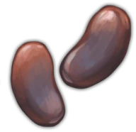 Bean