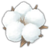 Cotton