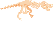 Dino Skeleton