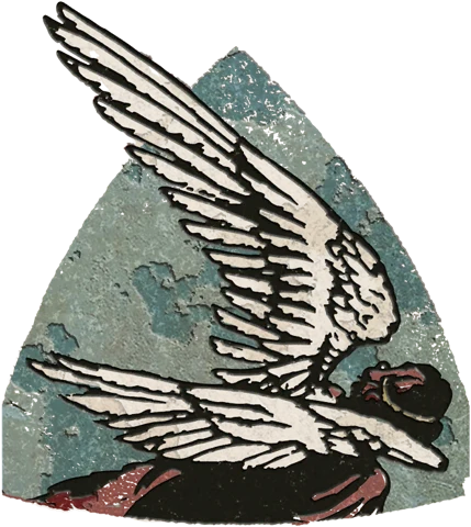Fly