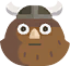 브룸