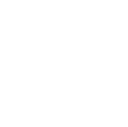 Drahtzieher