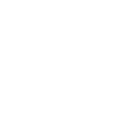 Bibliothekar
