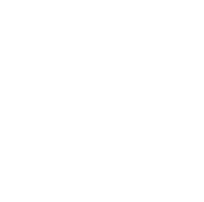 Oktopus