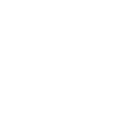Politiker