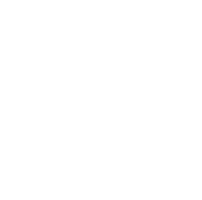 Seemann