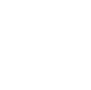 Accountant role icon