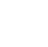 Artist role icon