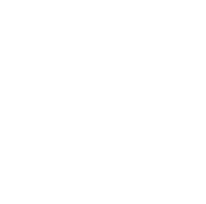 Conman role icon