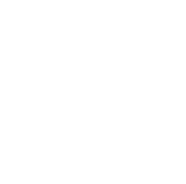 Copycat role icon