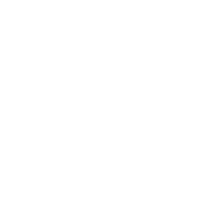 Detractor role icon