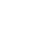 Fugitive role icon