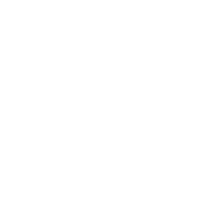Hitman role icon