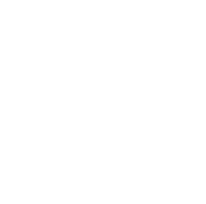 Idol role icon