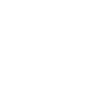Journalist role icon