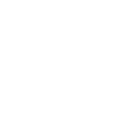 Judge role icon