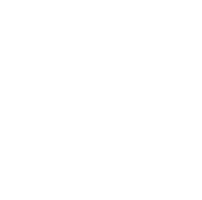 Kingpin role icon