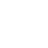 Partner role icon