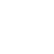 Priest role icon