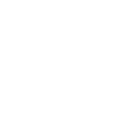 Publisher role icon