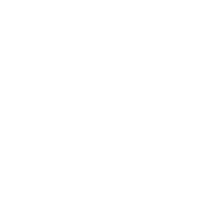 Pusher role icon