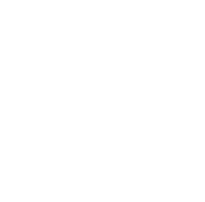 Recruiter role icon