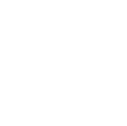 Reporter role icon