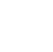 Scoundrel role icon
